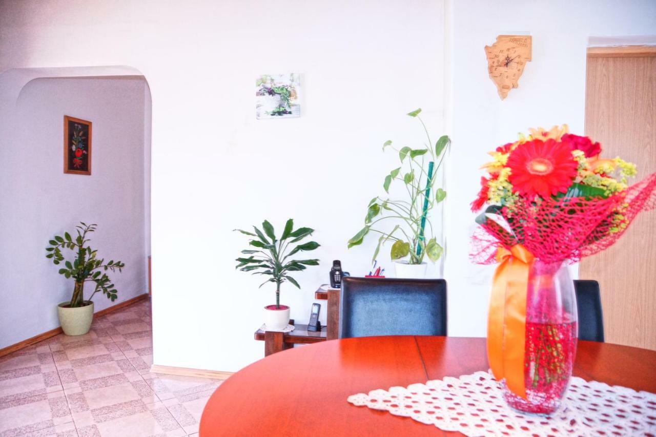 Holiday Home Bura Ρόβινι Εξωτερικό φωτογραφία